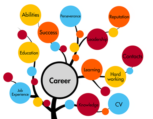 best career counselling jaipur